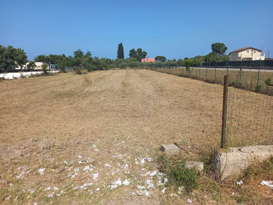 Immagine 2 di Terreno agricolo in vendita  a Siracusa