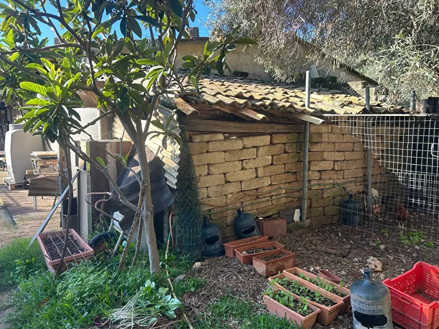 Immagine 2 di Terreno agricolo in vendita  a Siracusa