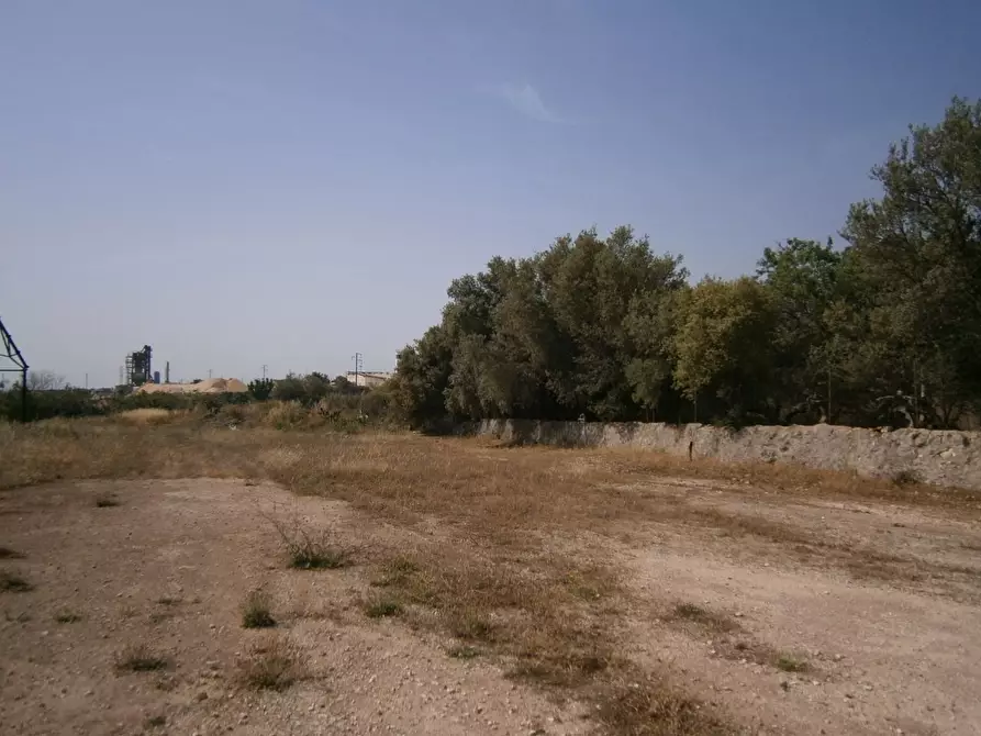 Immagine 6 di Terreno agricolo in affitto  a Priolo Gargallo