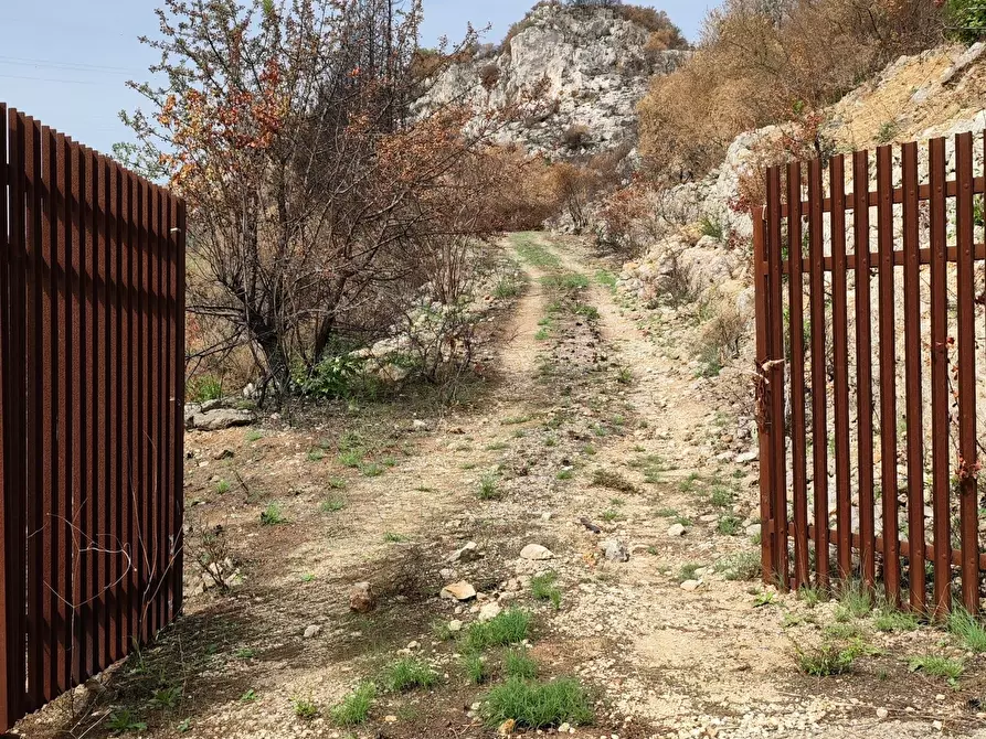 Immagine 3 di Terreno agricolo in vendita  a Melilli