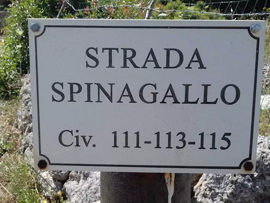 Immagine 6 di Terreno agricolo in vendita  a Siracusa