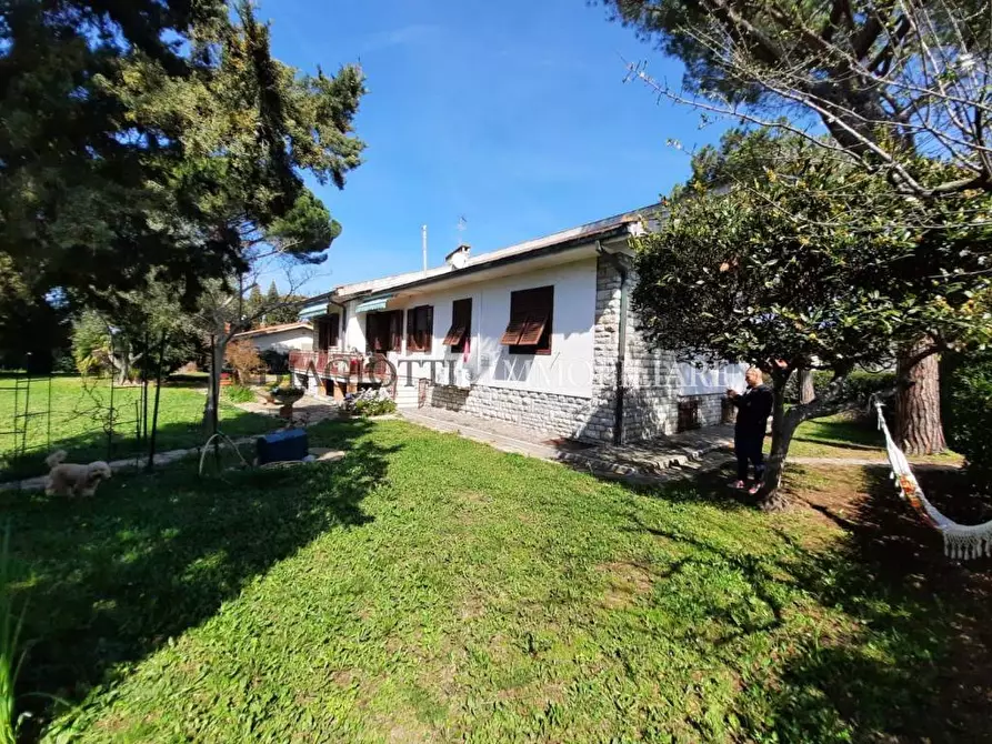 Immagine 16 di Villa in vendita  a Livorno