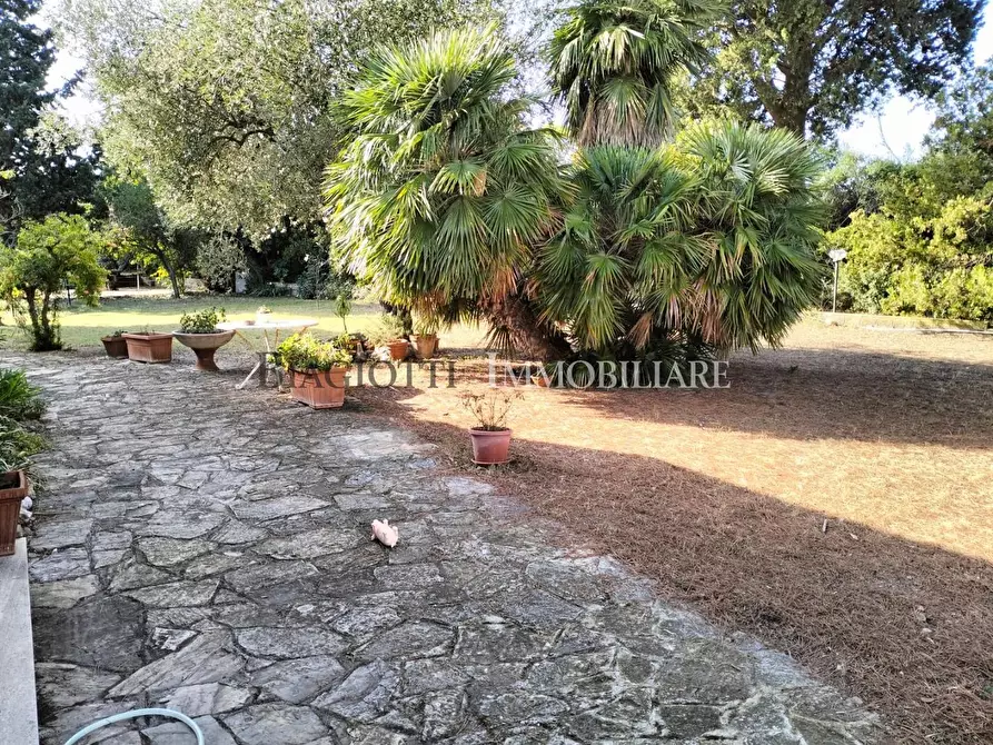 Immagine 8 di Villa in vendita  a Livorno