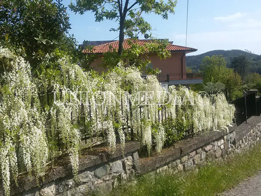 Immagine 14 di Casa semindipendente in vendita  in SP38 1 a Monterosso Al Mare
