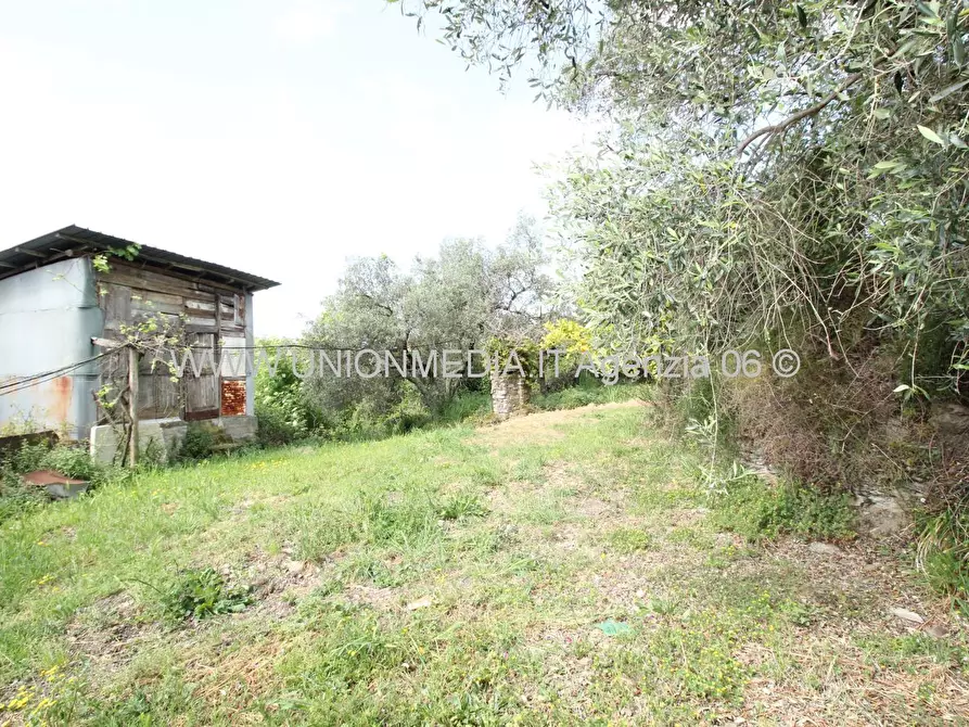 Immagine 29 di Casa indipendente in vendita  a Arcola