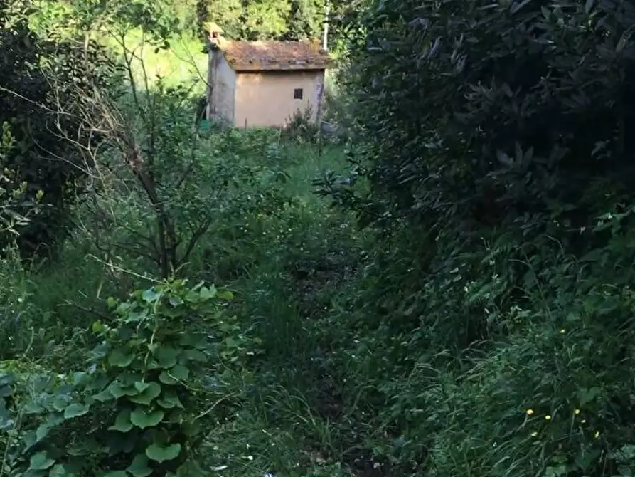 Immagine 1 di Rustico / casale in vendita  a Arcola