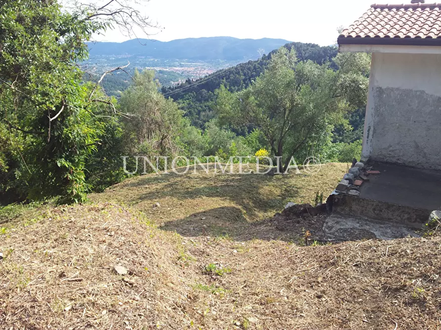 Immagine 6 di Rustico / casale in vendita  in via carignano a Fosdinovo