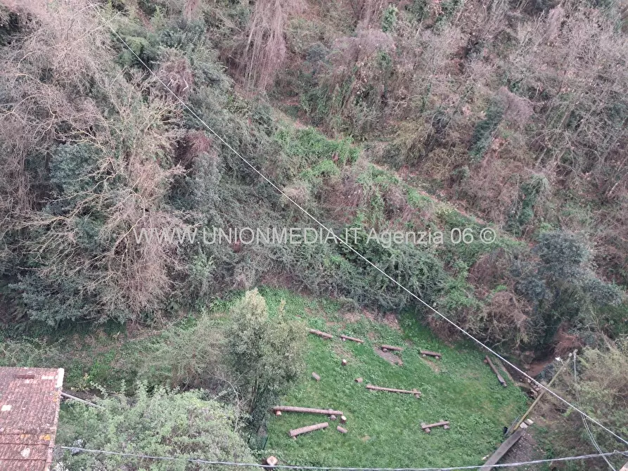 Immagine 34 di Appartamento in vendita  a Arcola