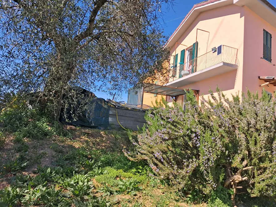 Immagine 7 di Casa semindipendente in vendita  a Arcola
