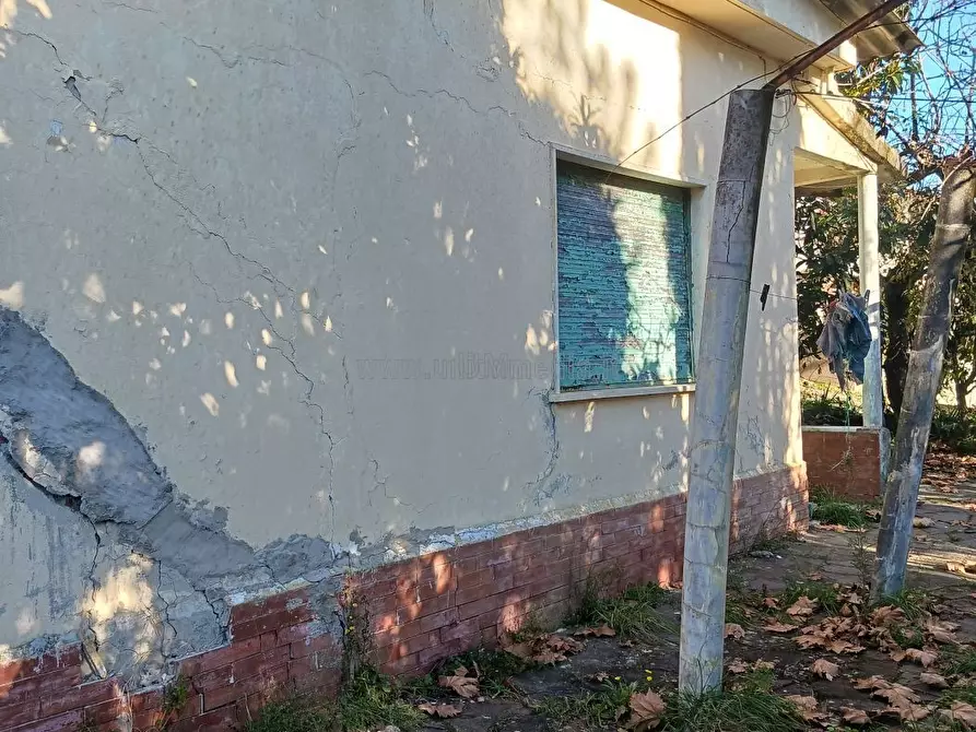 Immagine 2 di Casa indipendente in vendita  a Arcola