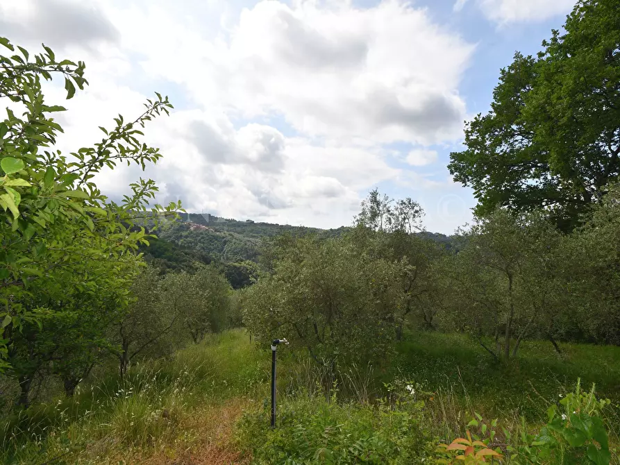 Immagine 4 di Rustico / casale in vendita  in Via Carignano a Fosdinovo