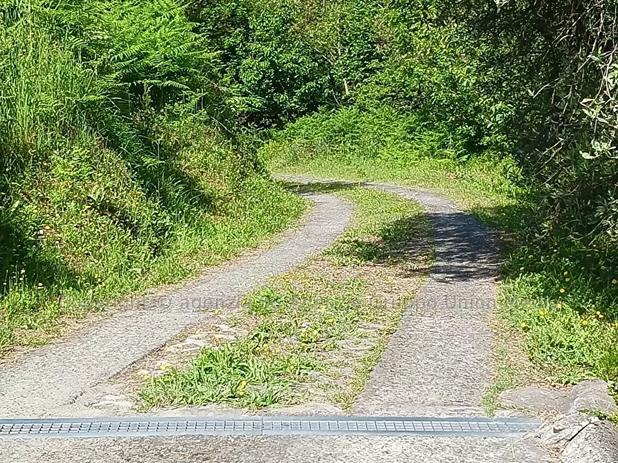 Immagine 11 di Terreno edificabile in vendita  a Arcola