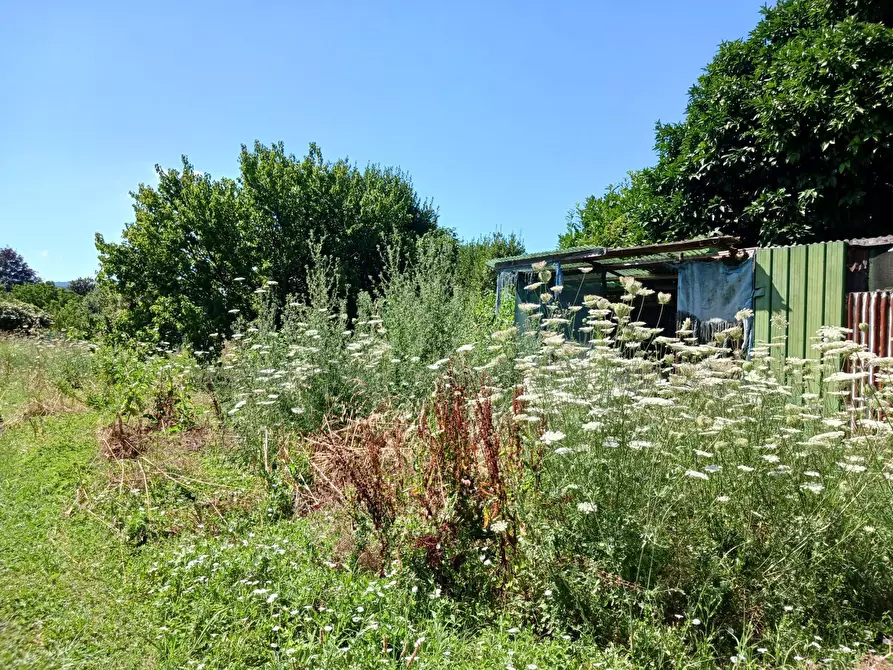 Immagine 11 di Casa semindipendente in vendita  a Arcola