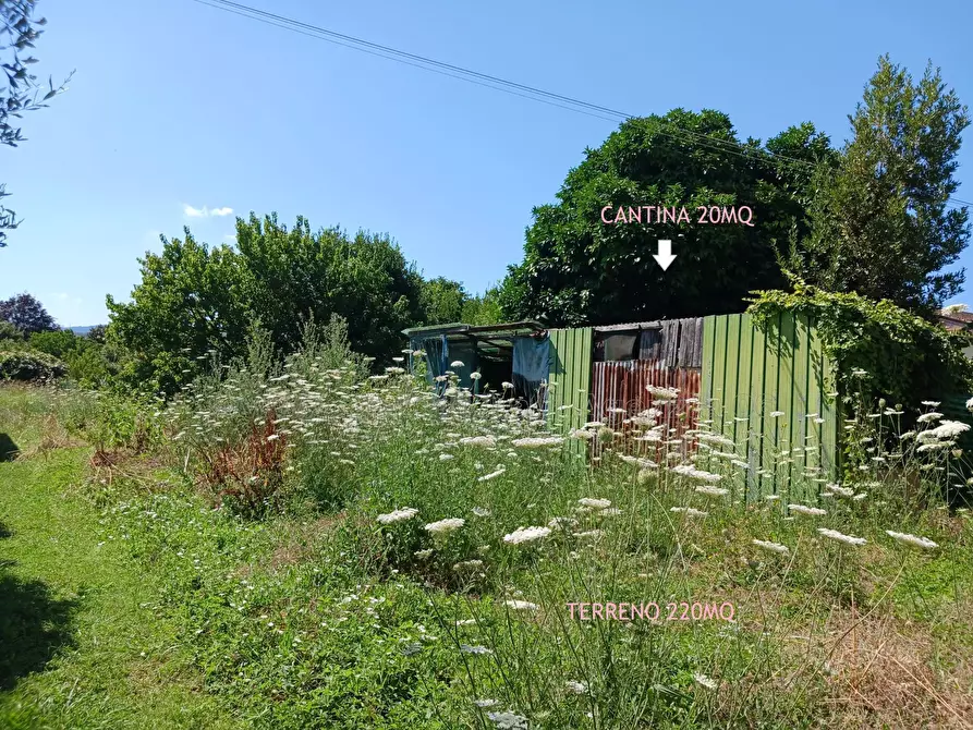Immagine 10 di Casa semindipendente in vendita  a Arcola