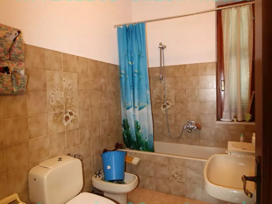 Immagine 18 di Appartamento in vendita  a Arcola