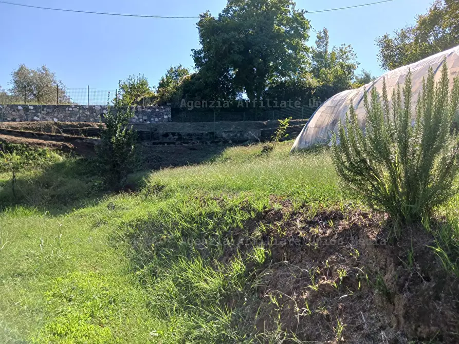 Immagine 8 di Rustico / casale in vendita  a Arcola