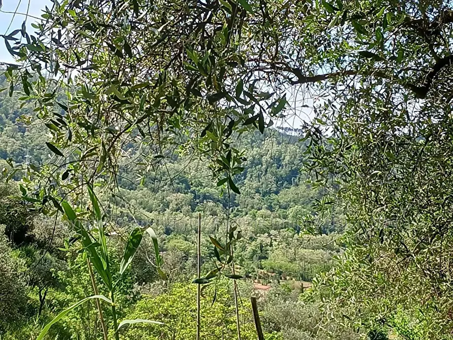 Immagine 9 di Terreno edificabile in vendita  a Arcola