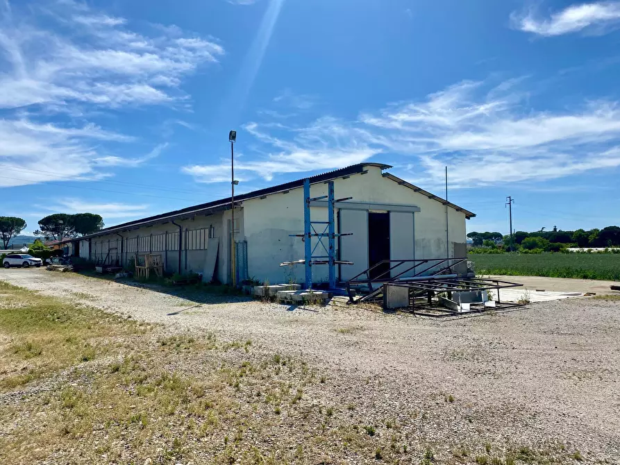 Immagine 2 di Attività artigianale in vendita  in Via Pauluzza 9 a Forli'