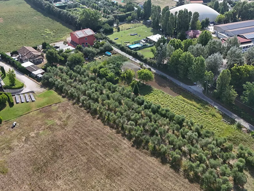 Immagine 34 di Villa in vendita  in Via Laerte Rolfini a Rimini