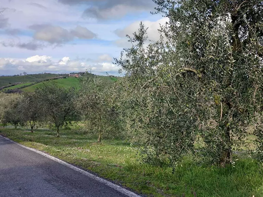 Immagine 41 di Casa indipendente in vendita  in Via Santa Cristina 137A a Rimini