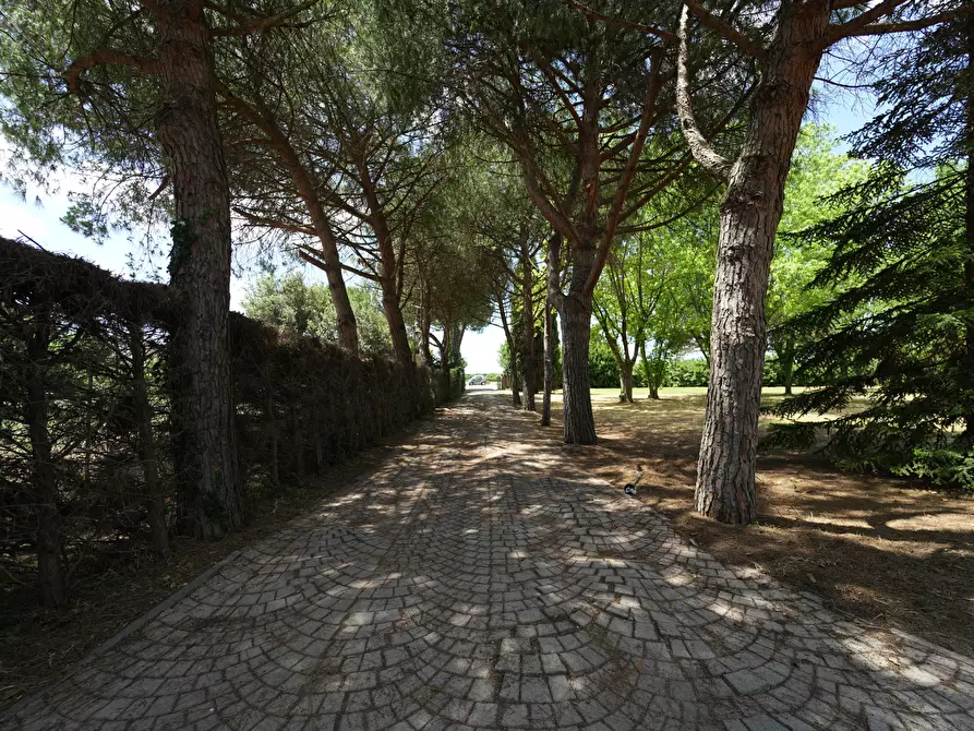 Immagine 11 di Villa in vendita  in Via Molino Ronci 8 a Rimini