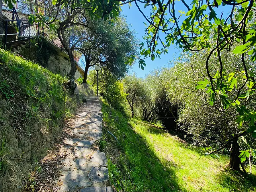 Immagine 45 di Villa in vendita  in Via Fratelli Aristide e Alduino Castellini 8 a Vezzano Ligure