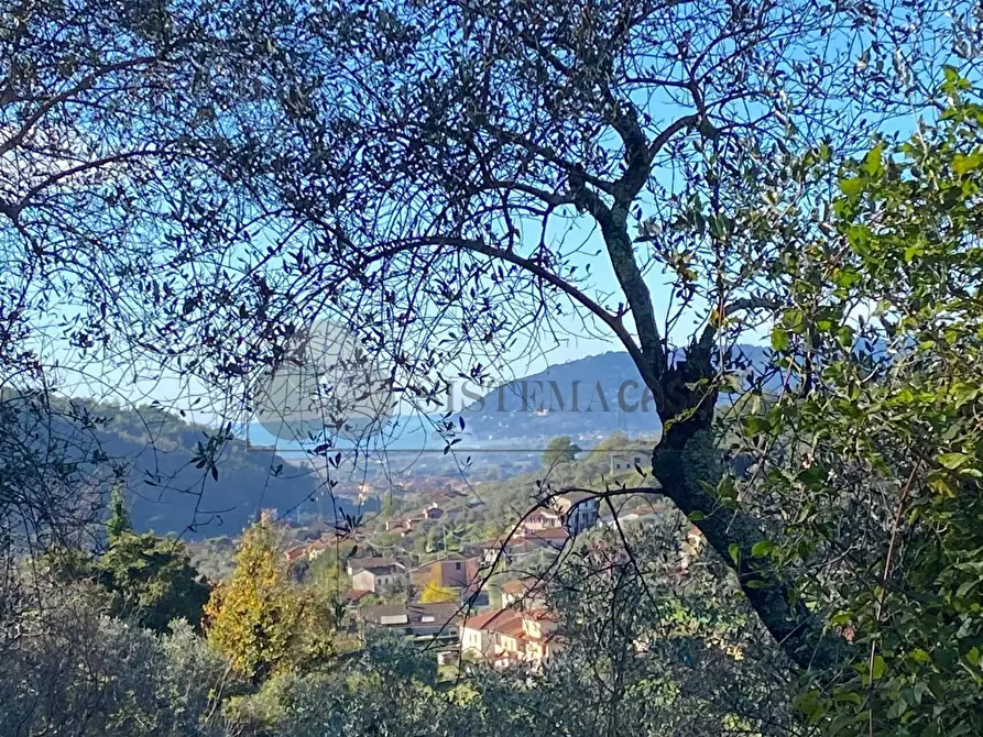 Immagine 60 di Casa indipendente in vendita  in Via Noceto 6 a Ortonovo