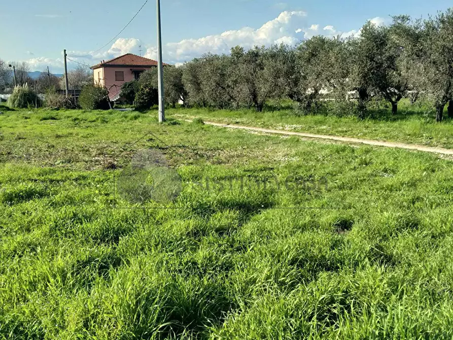 Immagine 8 di Casa indipendente in vendita  a Sarzana