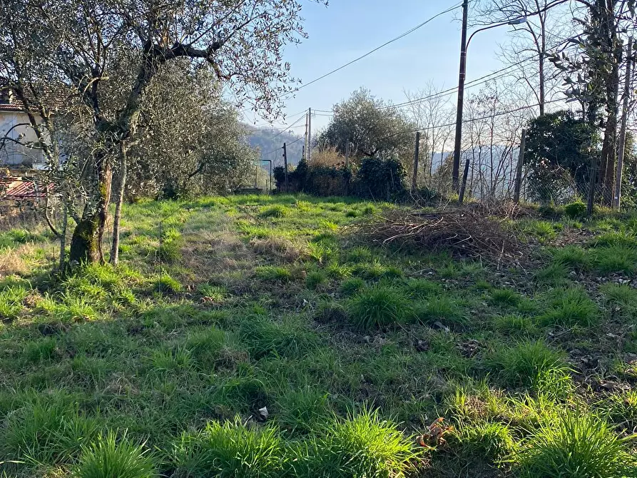 Immagine 6 di Porzione di casa in vendita  in Via San Rocco 9 a Follo