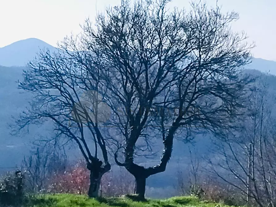Immagine 22 di Terratetto in vendita  in Via Carlo del Prete 17 a Fivizzano