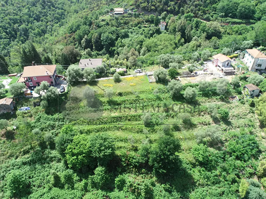 Immagine 1 di Casa indipendente in vendita  a Follo