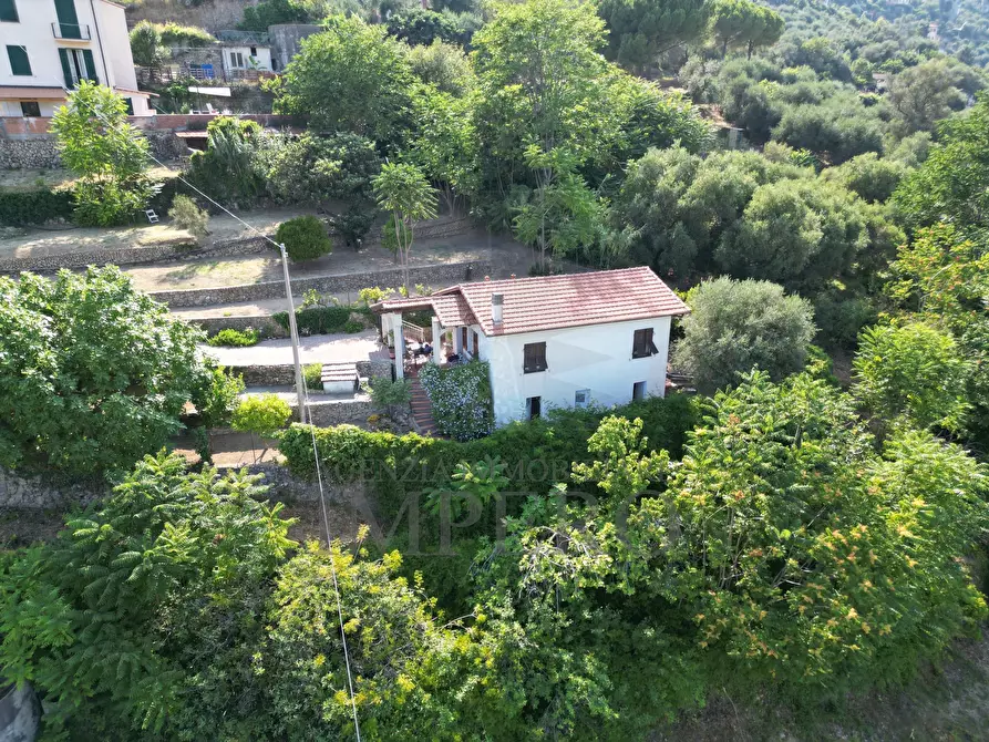 Immagine 19 di Casa indipendente in vendita  in Via Daffra 16 a Ventimiglia