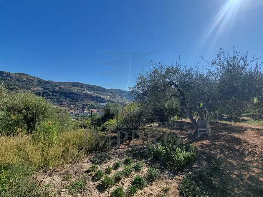 Immagine 27 di Terreno agricolo in vendita  in Via Monsignore Daffra 40 a Ventimiglia