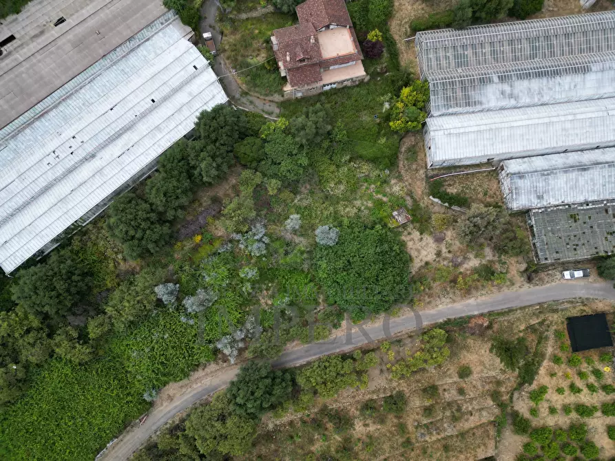 Immagine 17 di Terreno agricolo in vendita  in Via delle Otto Case 1 a Ventimiglia