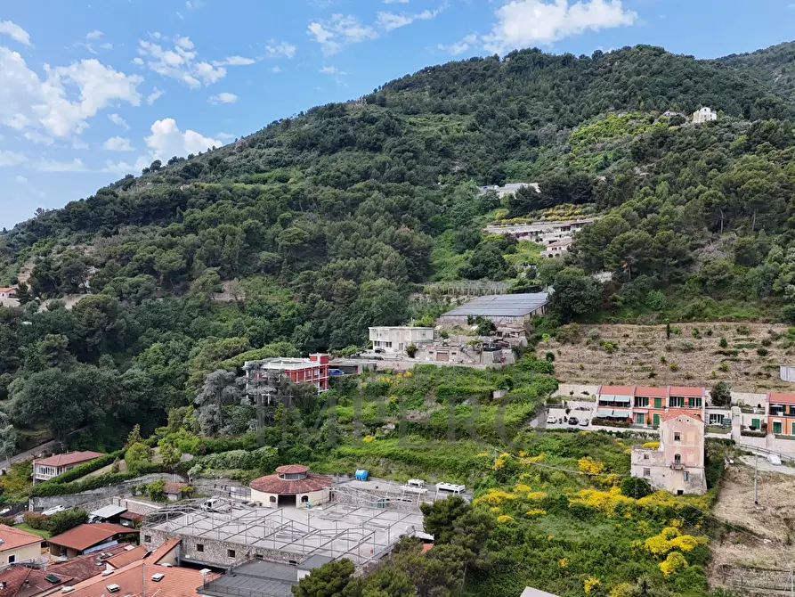 Immagine 20 di Terreno agricolo in vendita  in Via Anacleto Hughes 22/A a Ventimiglia