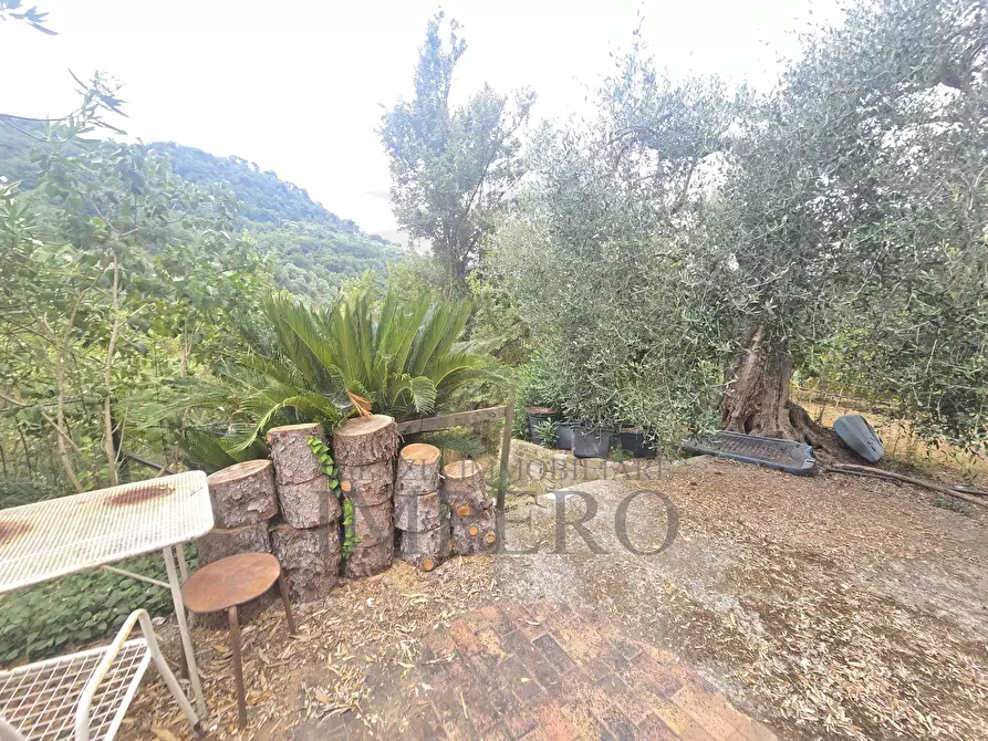 Immagine 6 di Rustico / casale in vendita  in San Gregorio a Dolceacqua