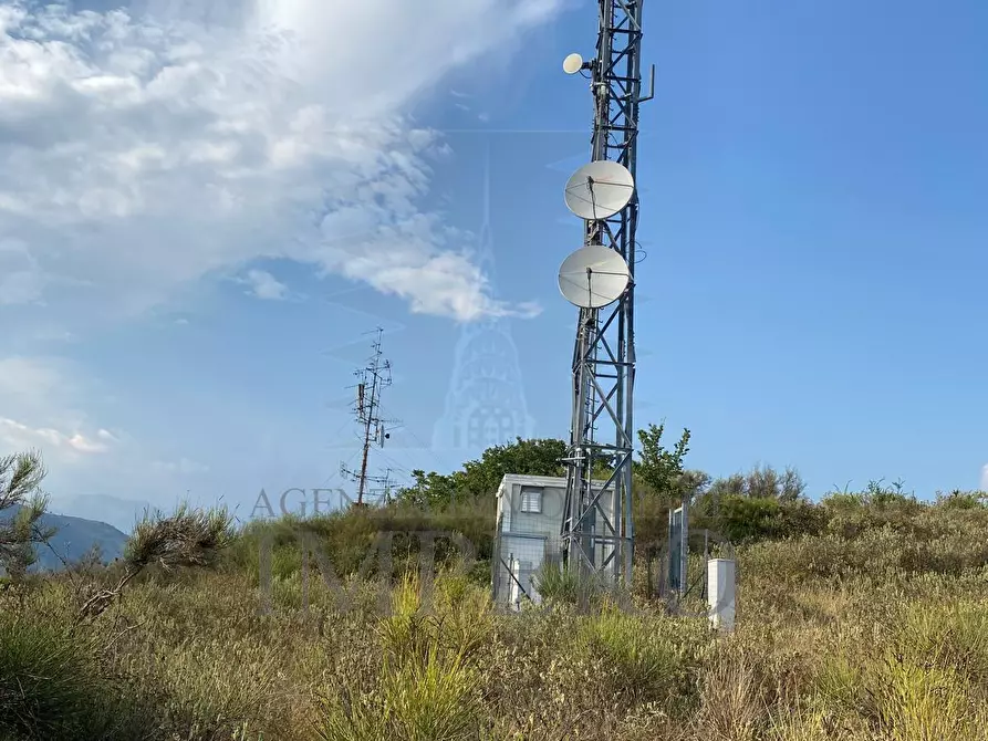 Immagine 15 di Terreno agricolo in vendita  in Via alla Stazione 40 a Ventimiglia