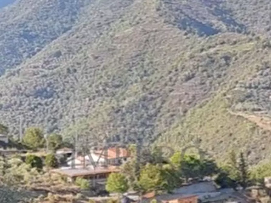 Immagine 21 di Villa in vendita  in Strada Provinciale a Dolceacqua
