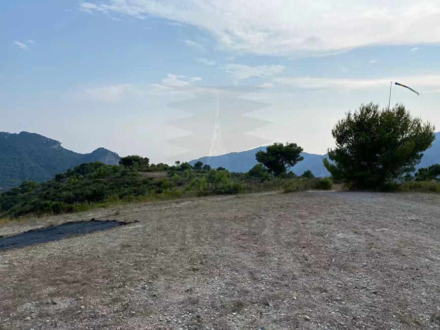 Immagine 3 di Terreno agricolo in vendita  in Via alla Stazione 40 a Ventimiglia