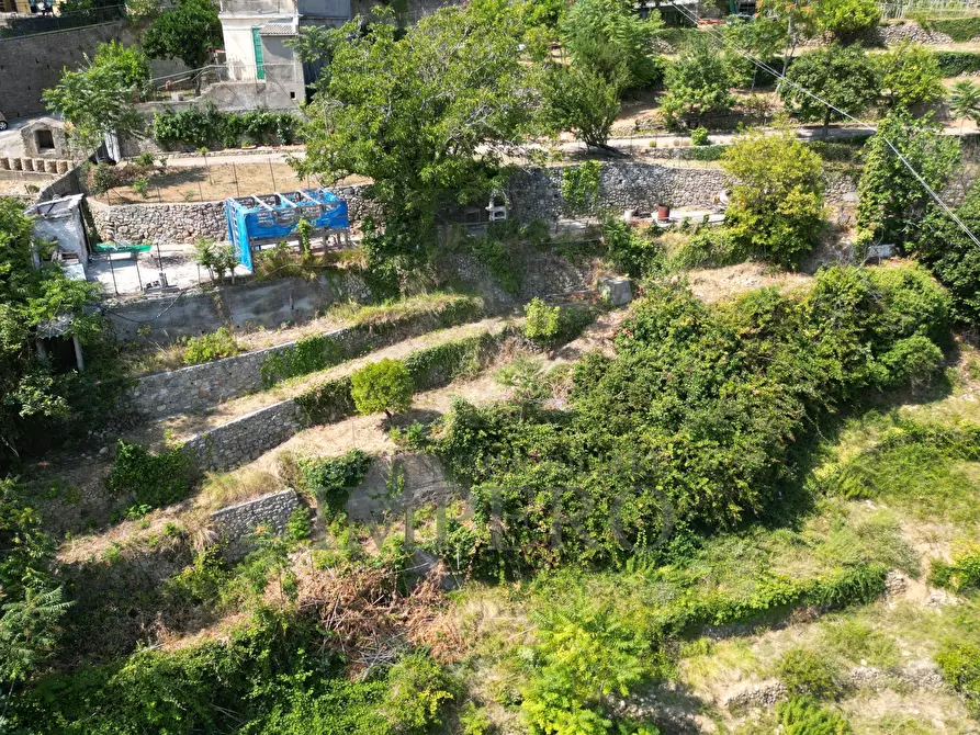 Immagine 1 di Terreno agricolo in vendita  in Via Daffra 20 a Ventimiglia