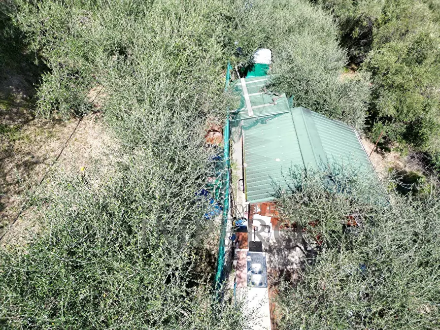 Immagine 61 di Terreno agricolo in vendita  in Via Monsignore Daffra 40 a Ventimiglia