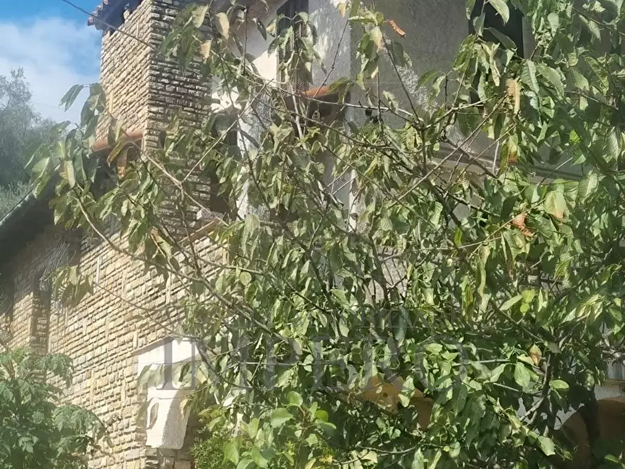 Immagine 45 di Casa indipendente in vendita  in localitò pian del soglio a Apricale