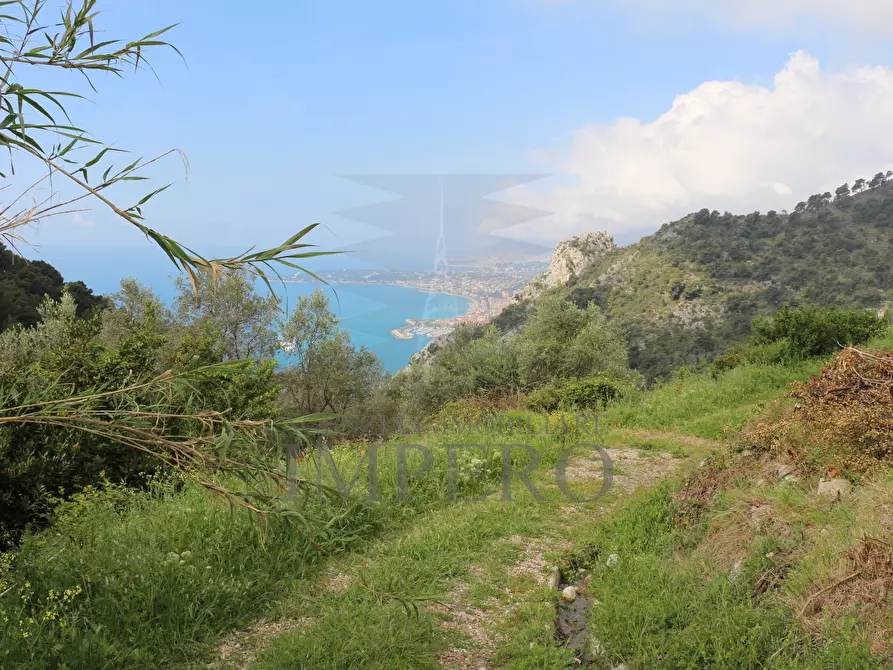 Immagine 32 di Terreno agricolo in vendita  in Via Case Gina 13 a Ventimiglia