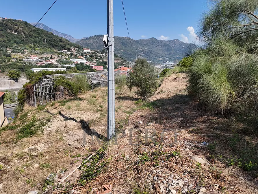 Immagine 27 di Terreno agricolo in vendita  in Corso Limone Piemonte a Ventimiglia