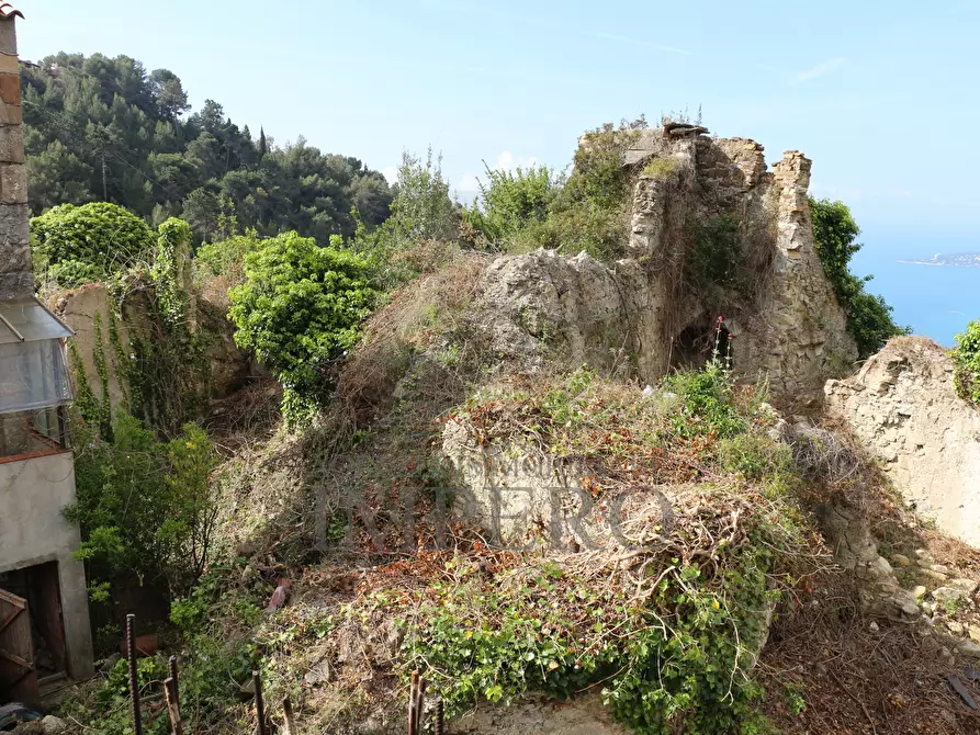 Immagine 9 di Terreno agricolo in vendita  in Via Case Gina 13 a Ventimiglia