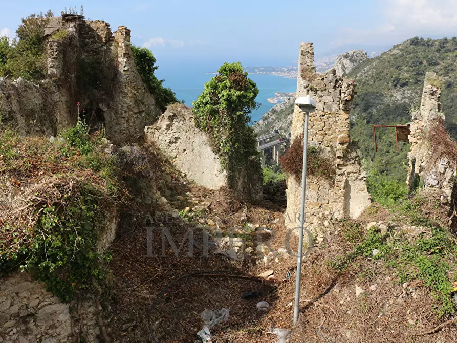 Immagine 21 di Terreno agricolo in vendita  in Via Case Gina 13 a Ventimiglia