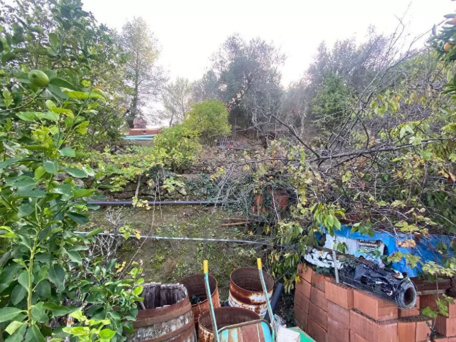 Immagine 21 di Casa indipendente in vendita  in Via Umberto Lorenzi a Ventimiglia