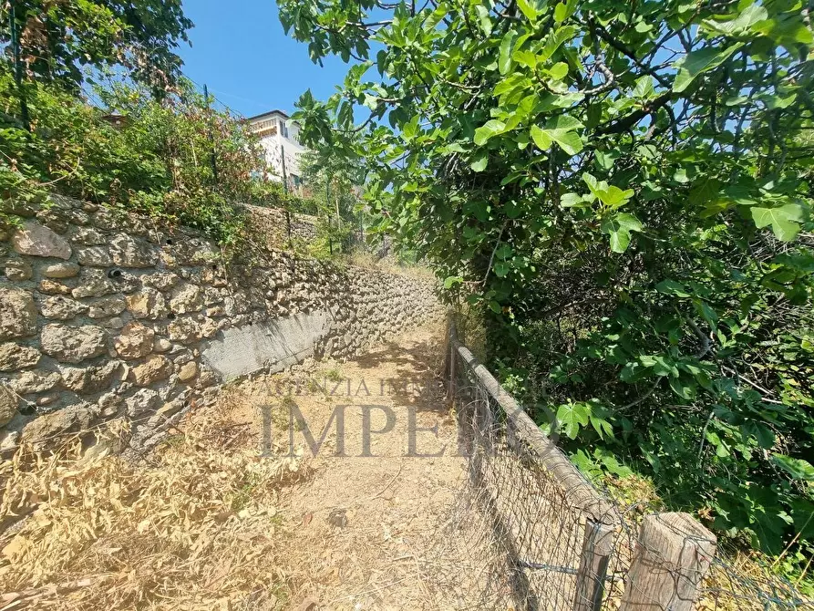 Immagine 14 di Terreno agricolo in vendita  in Via Daffra 20 a Ventimiglia