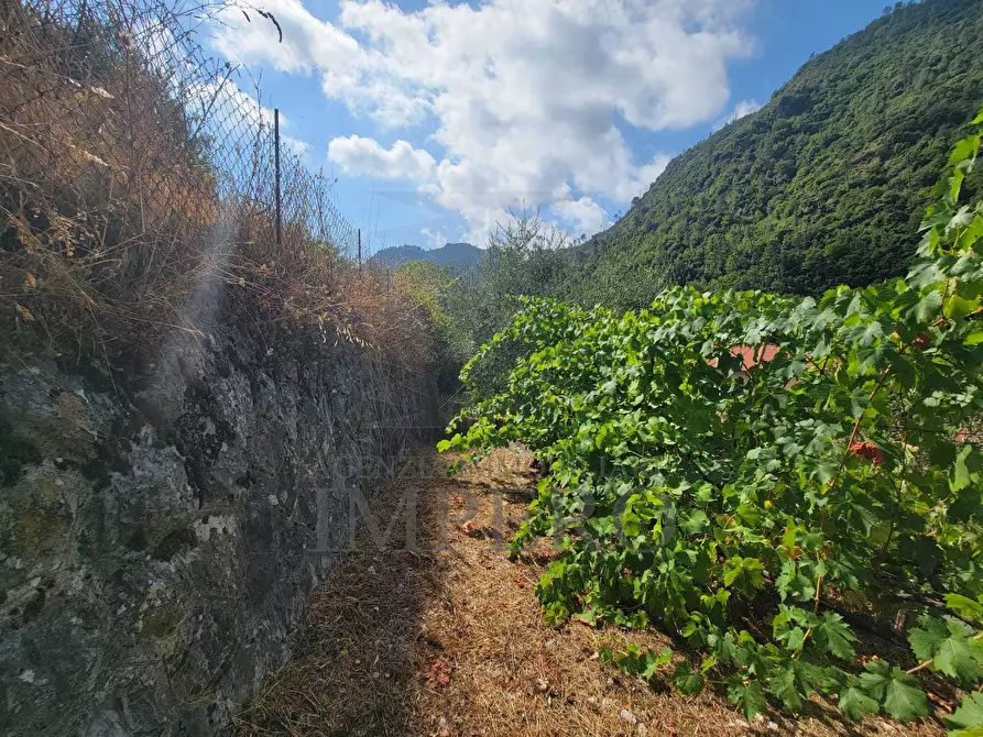 Immagine 69 di Casa bifamiliare in vendita  in Via Nazionale 8 a Airole