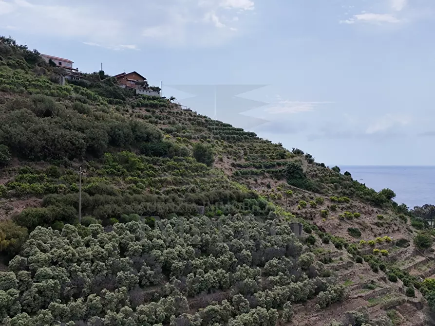 Immagine 13 di Terreno agricolo in vendita  in Via Anacleto Hughes 22/A a Ventimiglia